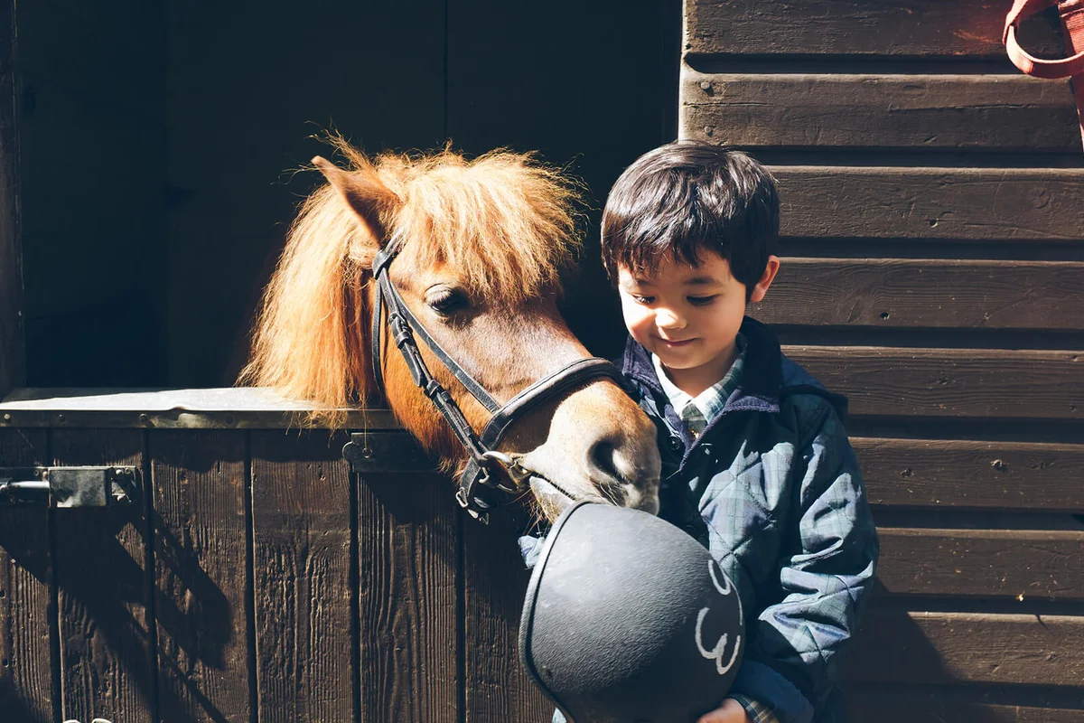 A young boy holding a riding hat
