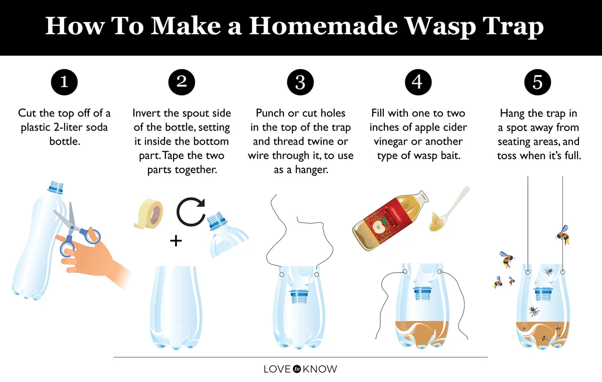 How to make a homemade wasp trap