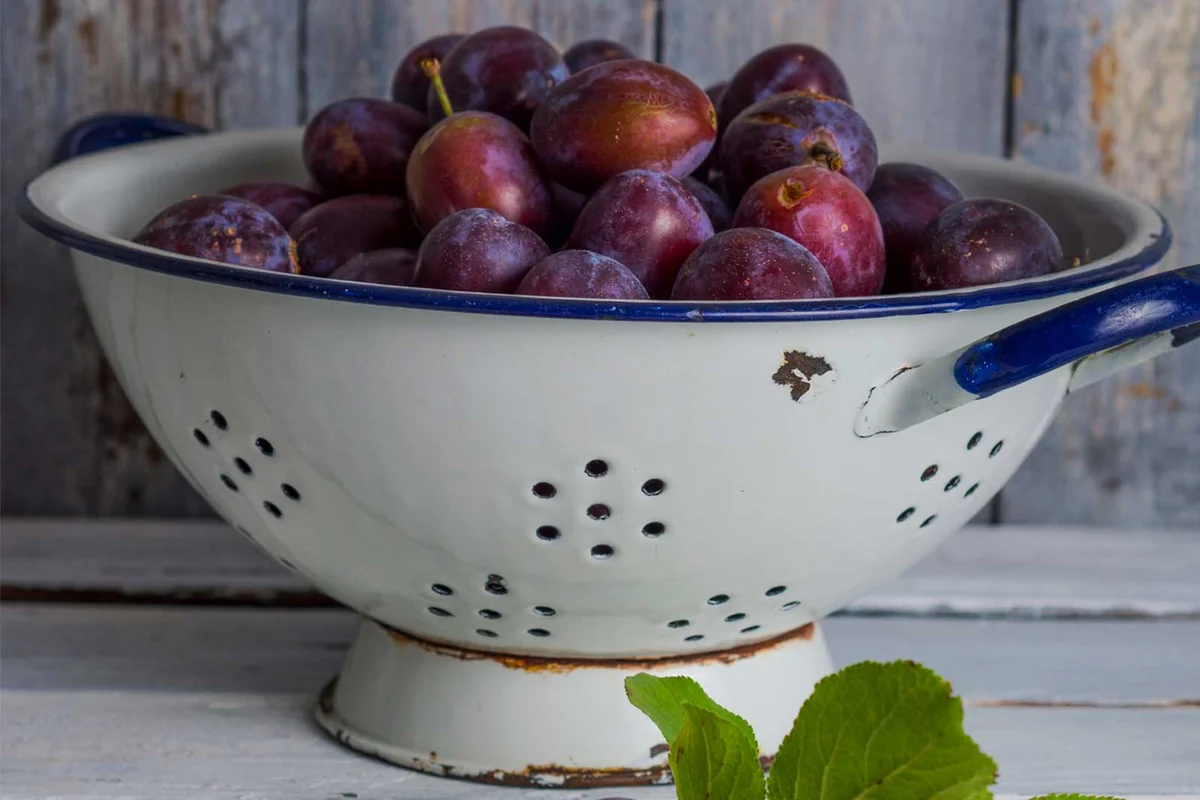 vintage colander