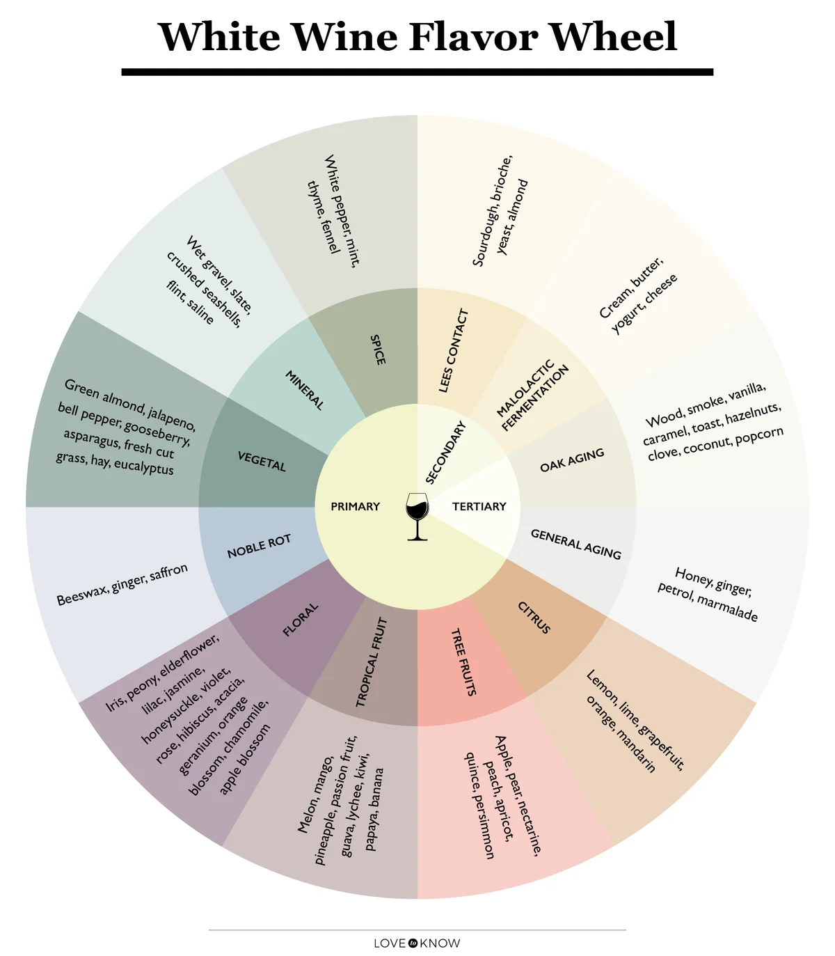 White Wine Flavor Wheel Infographic
