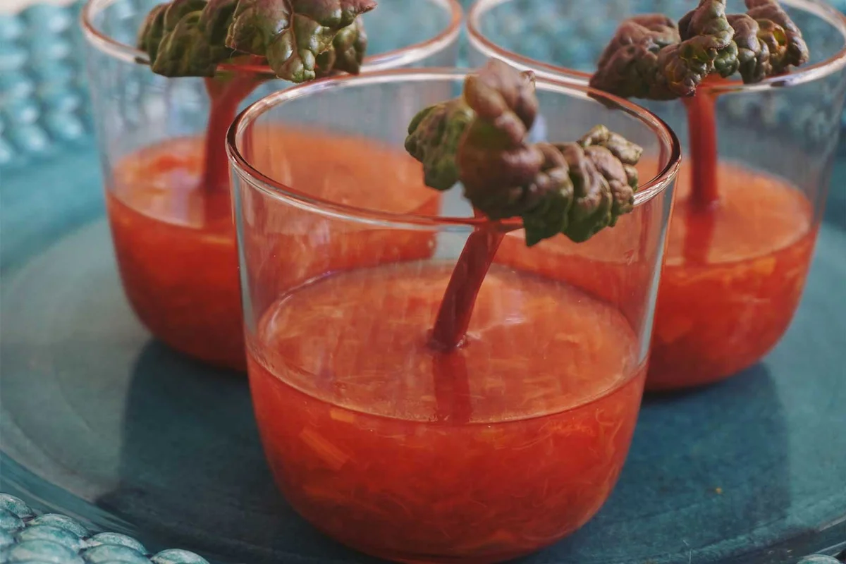rhubarb cocktails