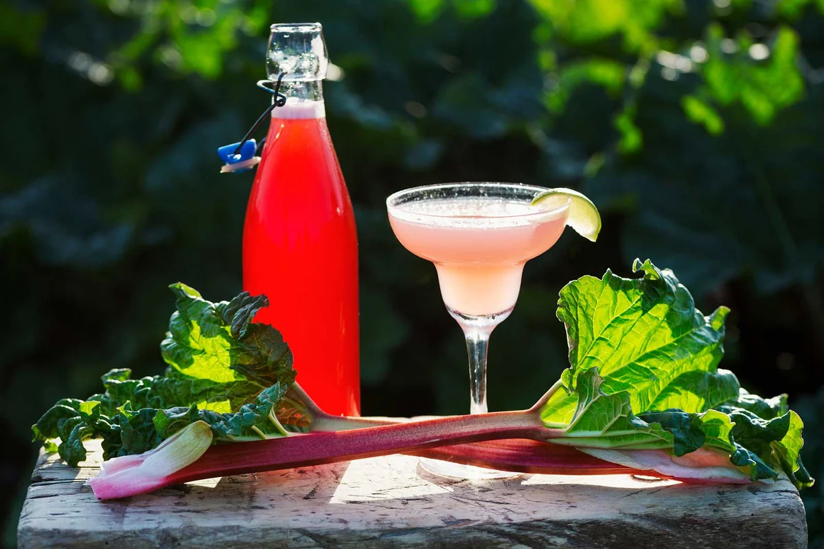 rhubarb margarita cocktail