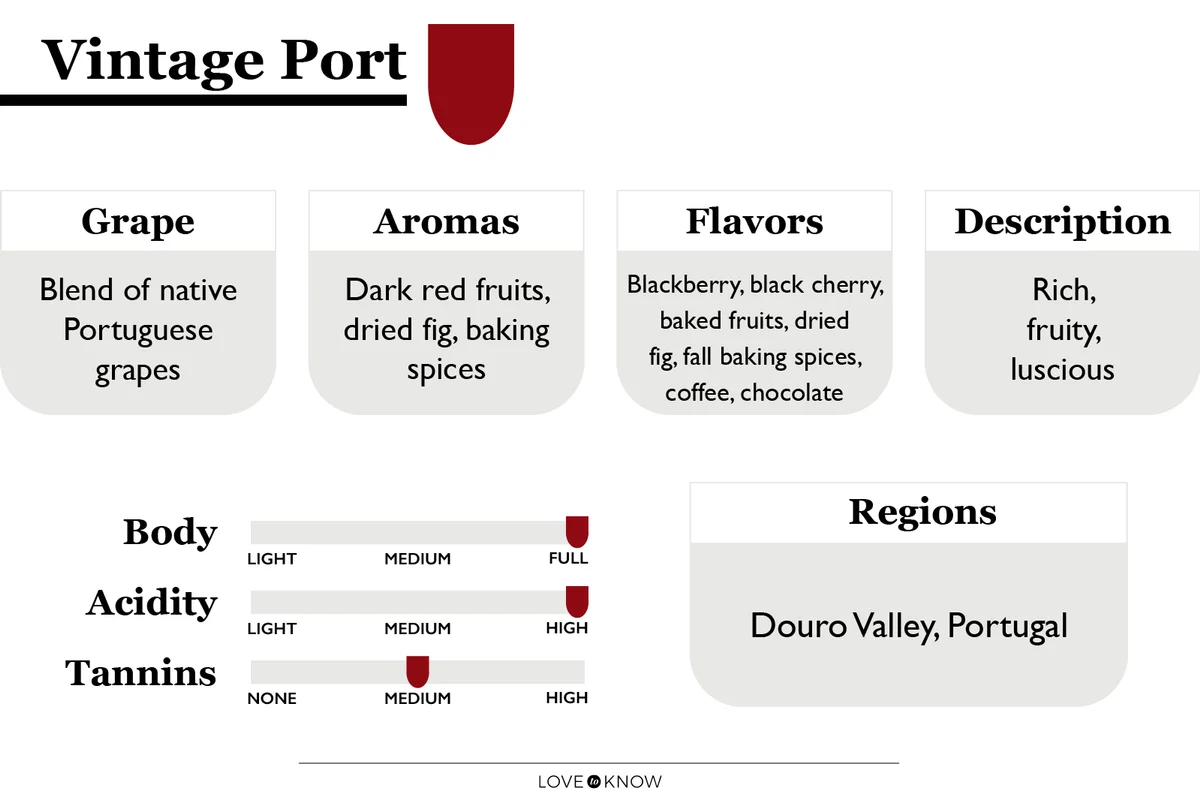 Vintage Port Characteristics Infographic