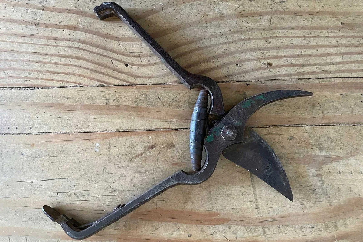 antique french pruning shears