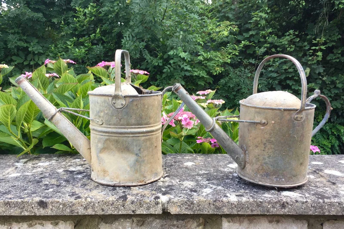 vintage antique watering cans