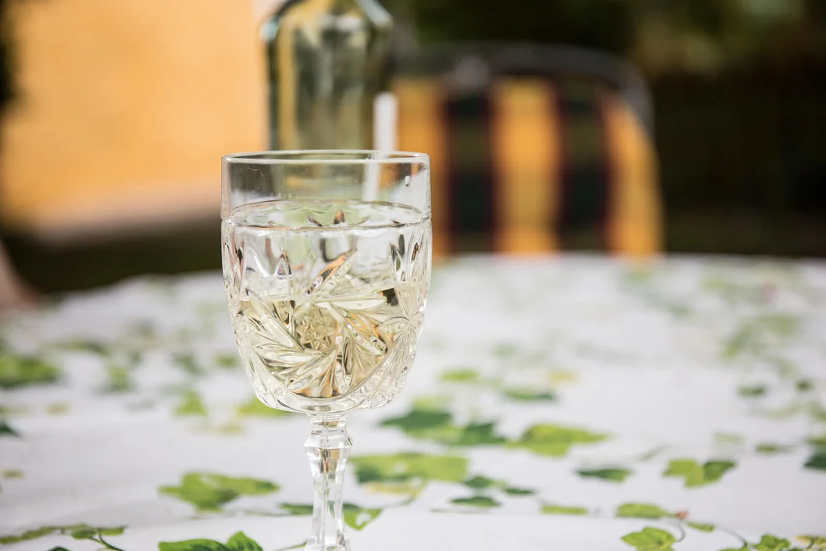 Elderflower cordial with lemon and ice