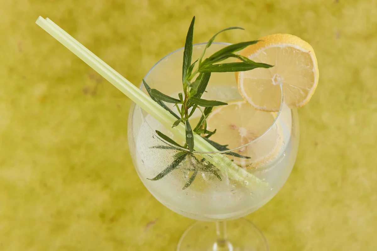 Gin and tonic in gin and tonic glass