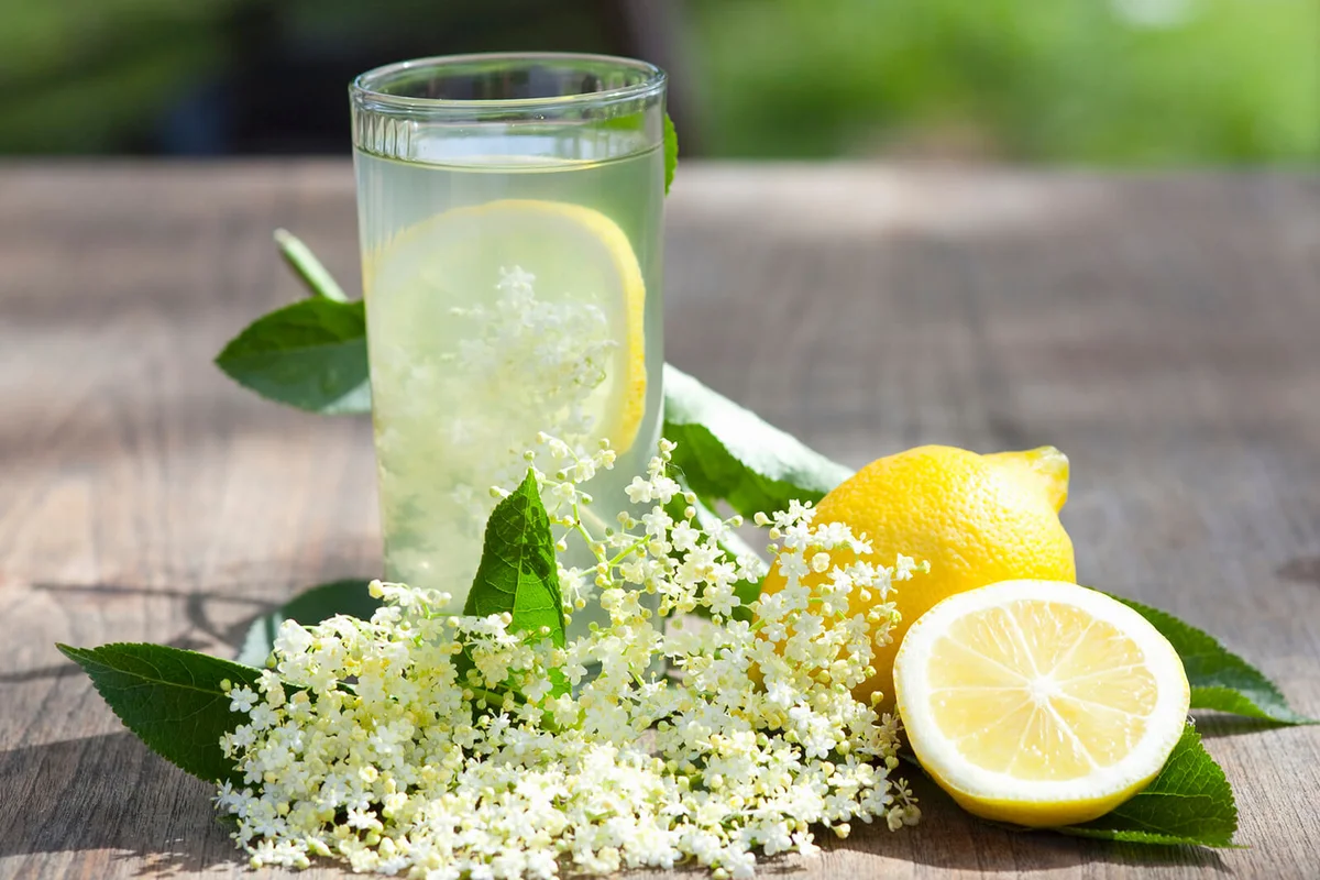 Elderflower juice with lemons and elderflowers