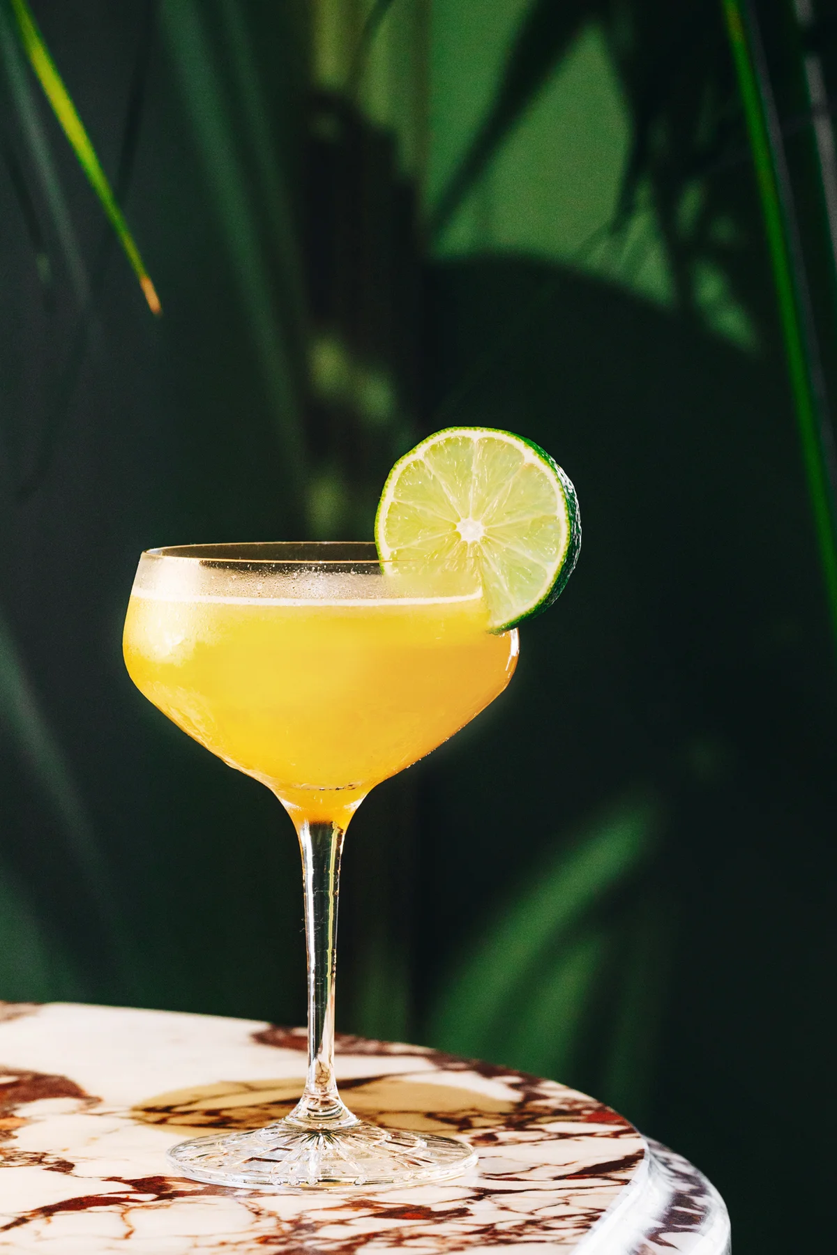 The last word cocktail