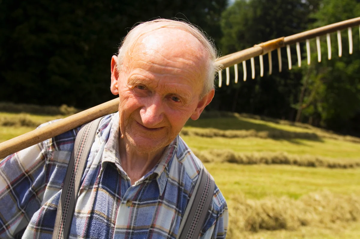man holding antique hay rake