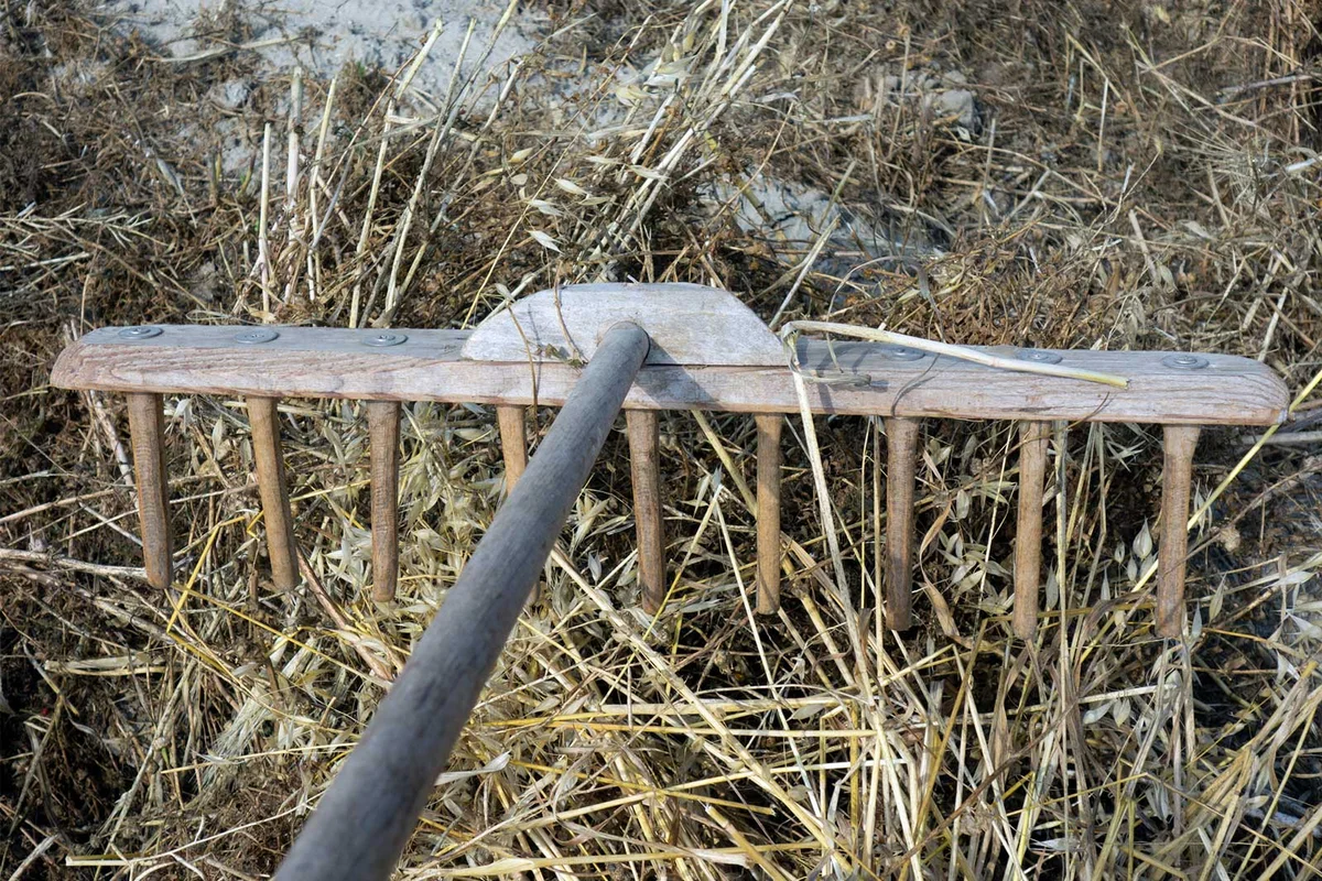 Wooden Hay Pitch Fork Tool rake