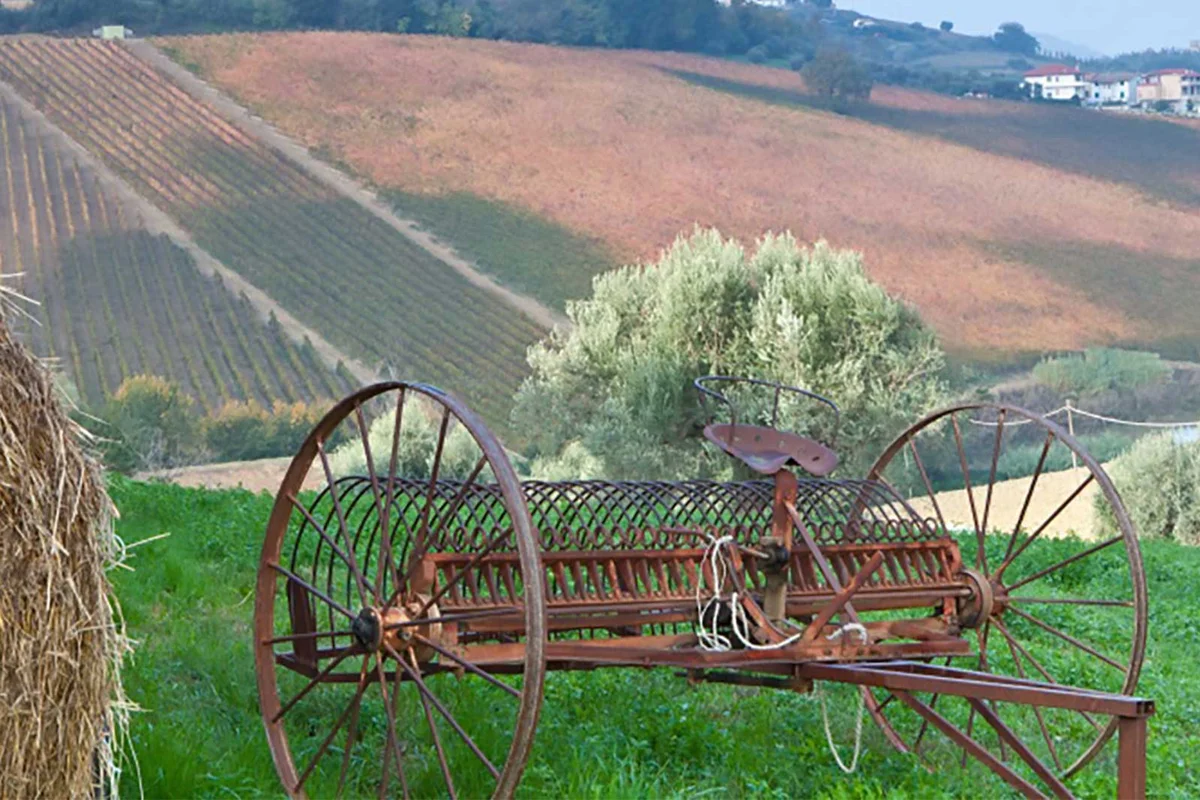 hay rake in field