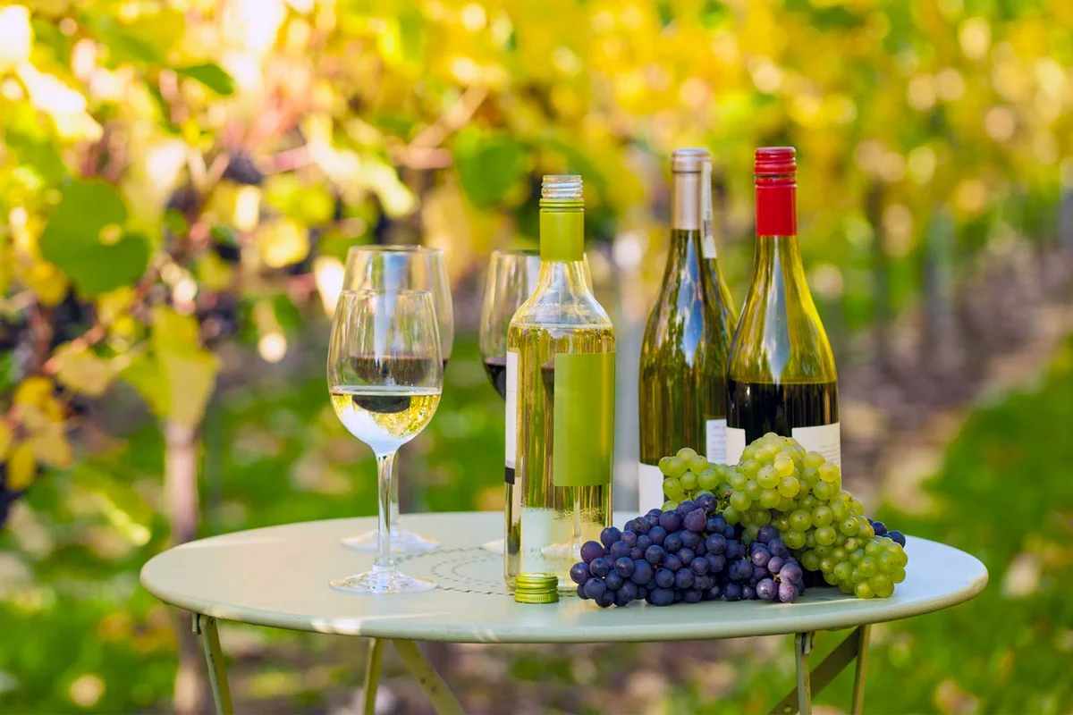 clean red and white wine on table in vineyard