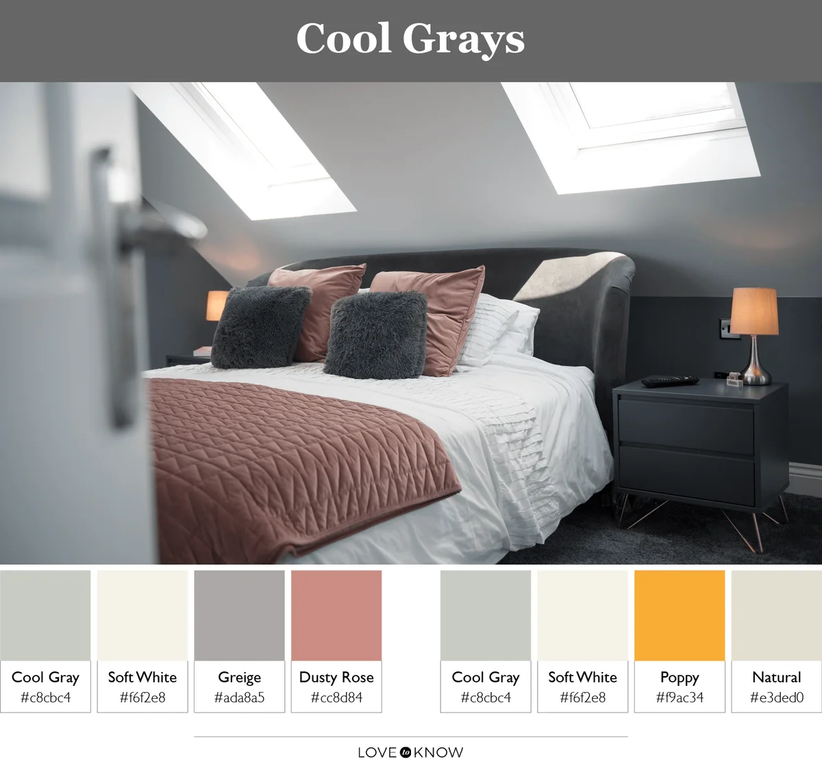 Cool Gray Color Palettes
