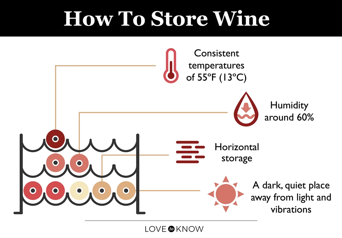 How to store wine infographic