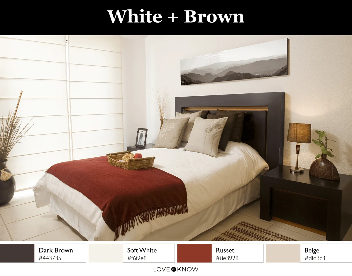 White + Brown Color Palette