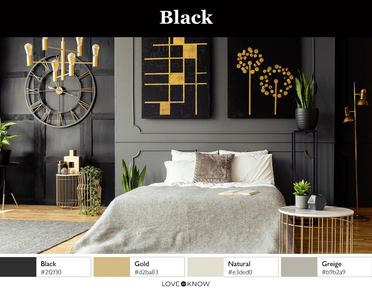 Black Color Palette