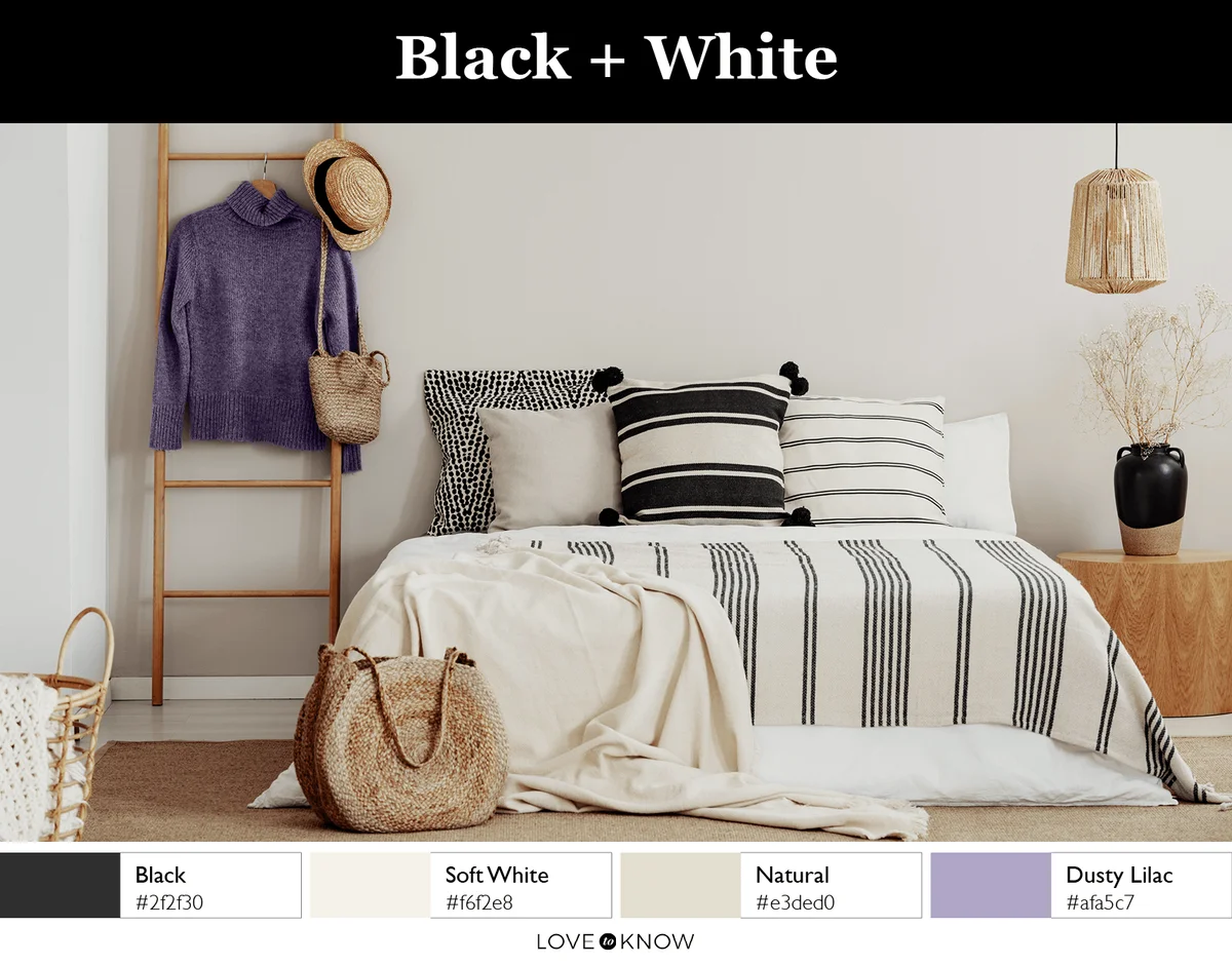 Black + White Color Palette