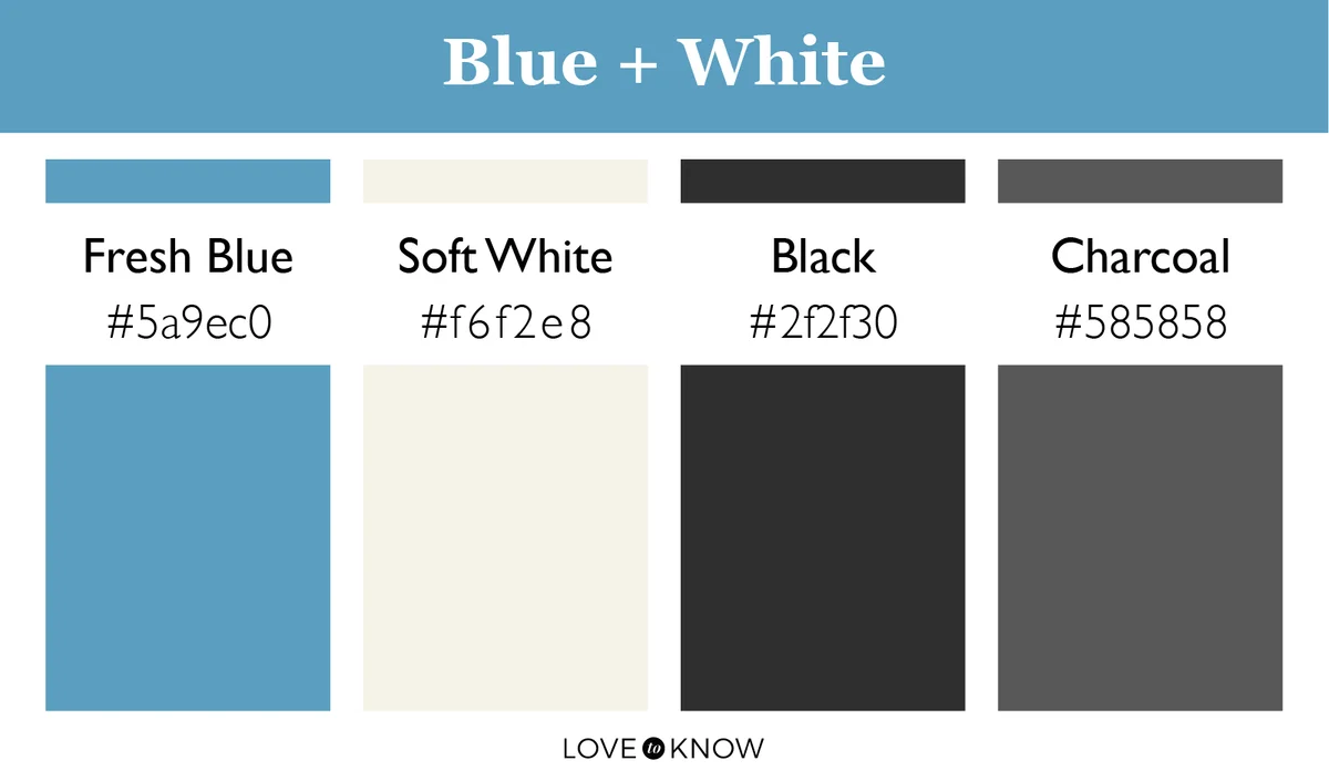Color Palette Blue + White
