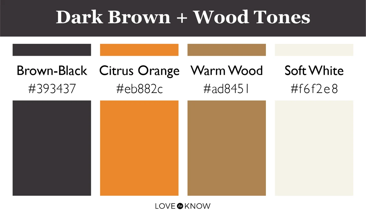 Color Palette Dark Brown + Orange
