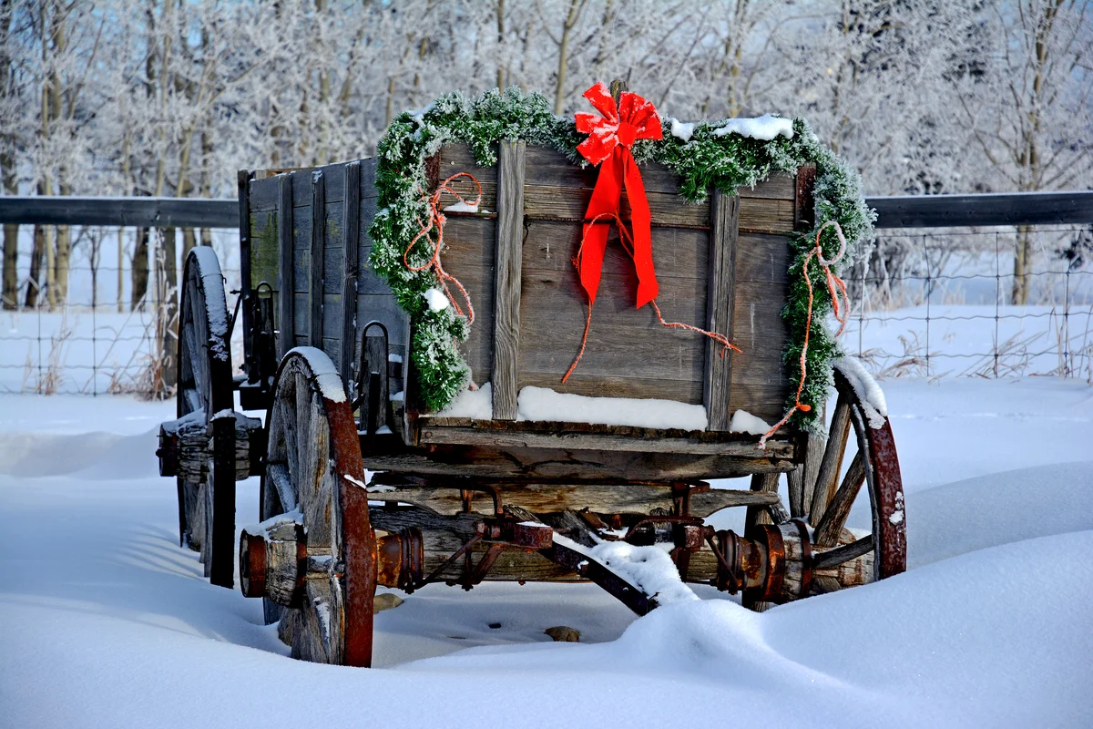 Old- fashioned wooden cart with Christmas decorations standing in snow