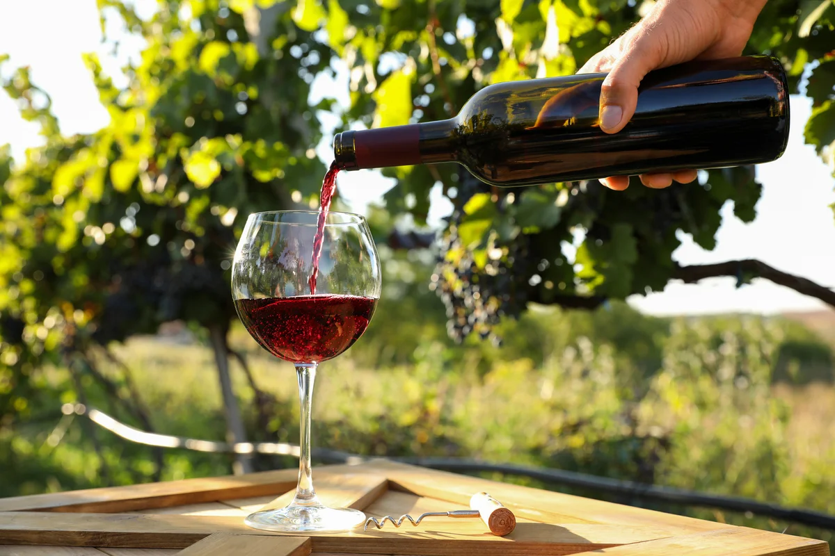 Man pouring wine from bottle into glass in vineyard