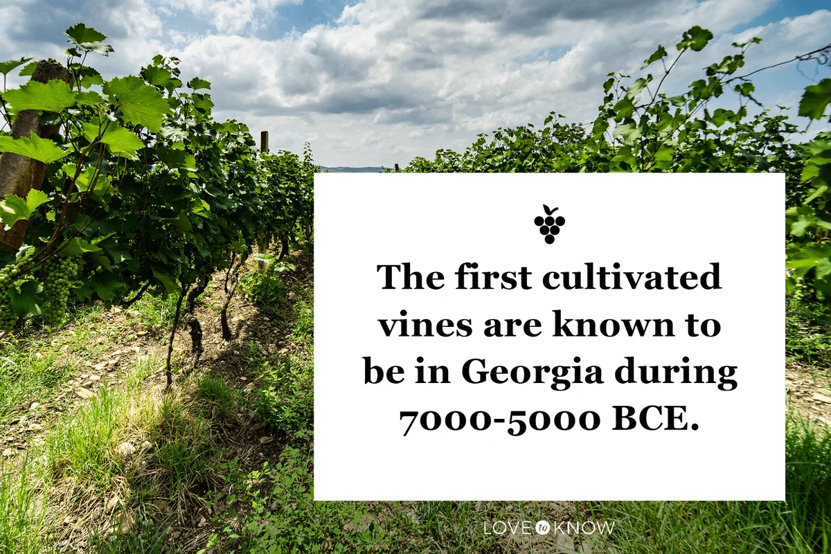 Wine History Fact