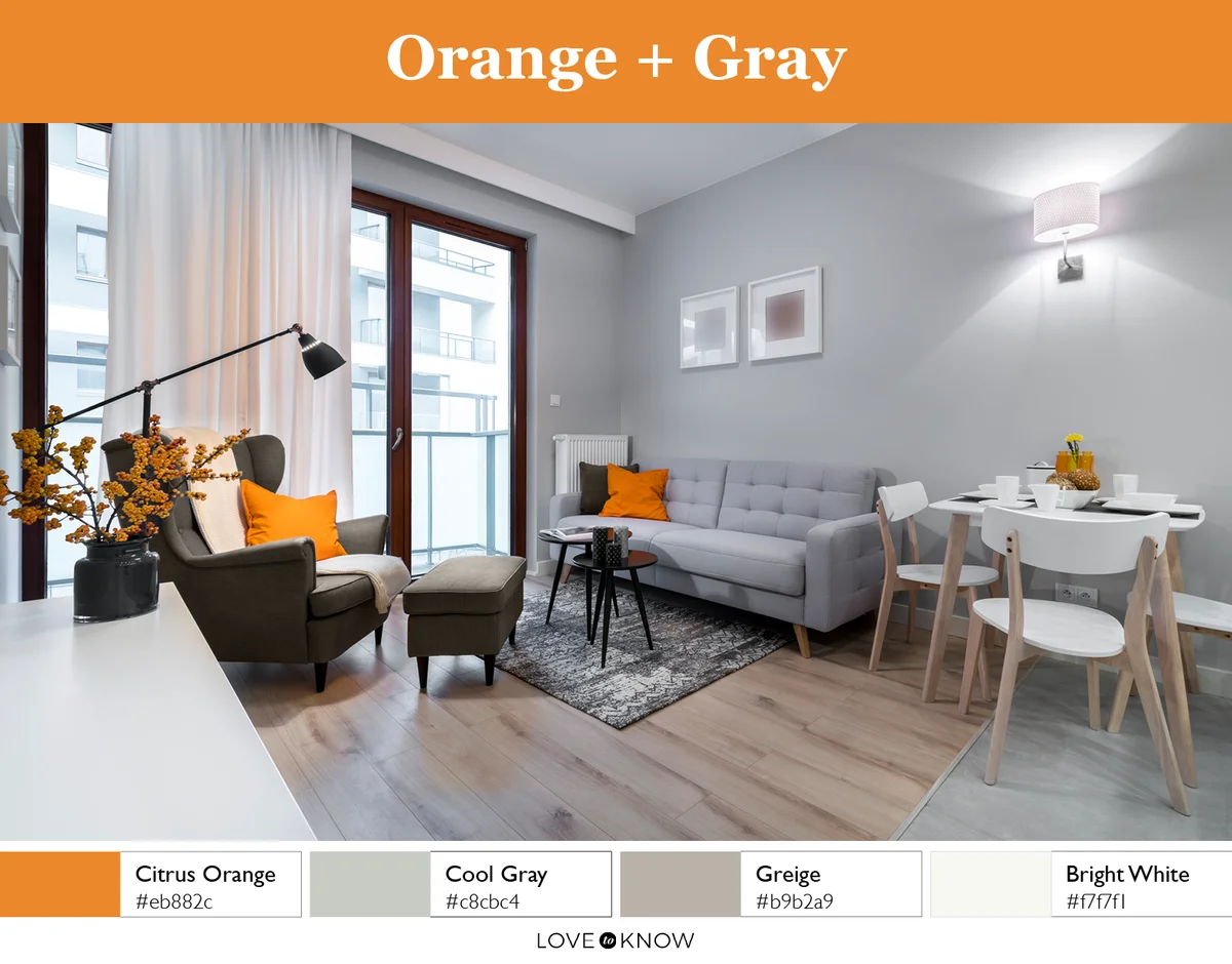 Orange + Gray Color Palette