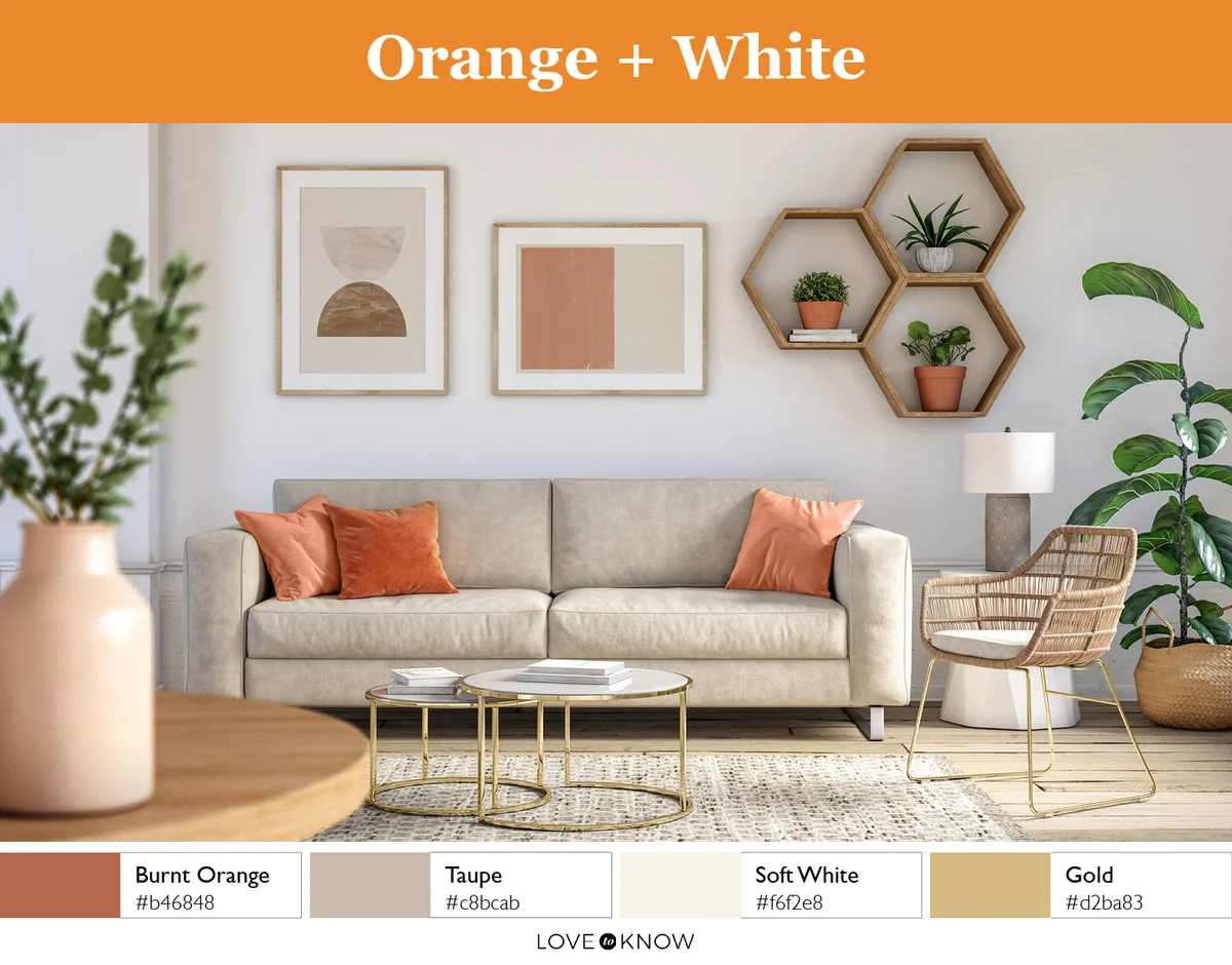 Orange + White Color Palette