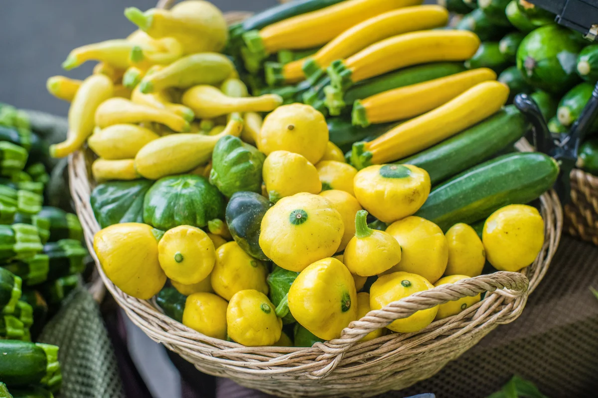 Display of fresh summer squash at the farmers market