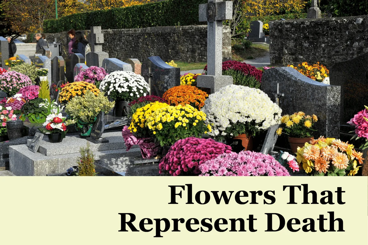 cemetery of the village at All Saints' Day