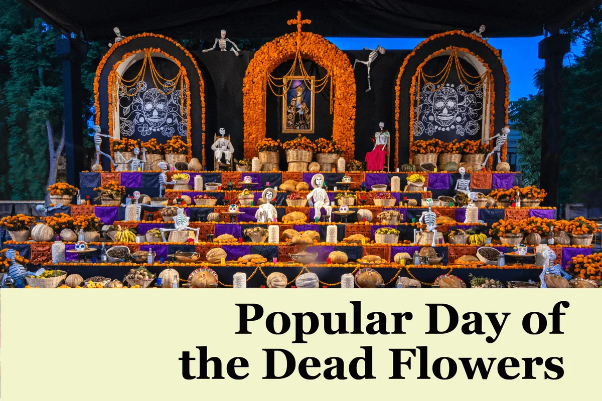 Day of the dead flowers and altar decoraitons
