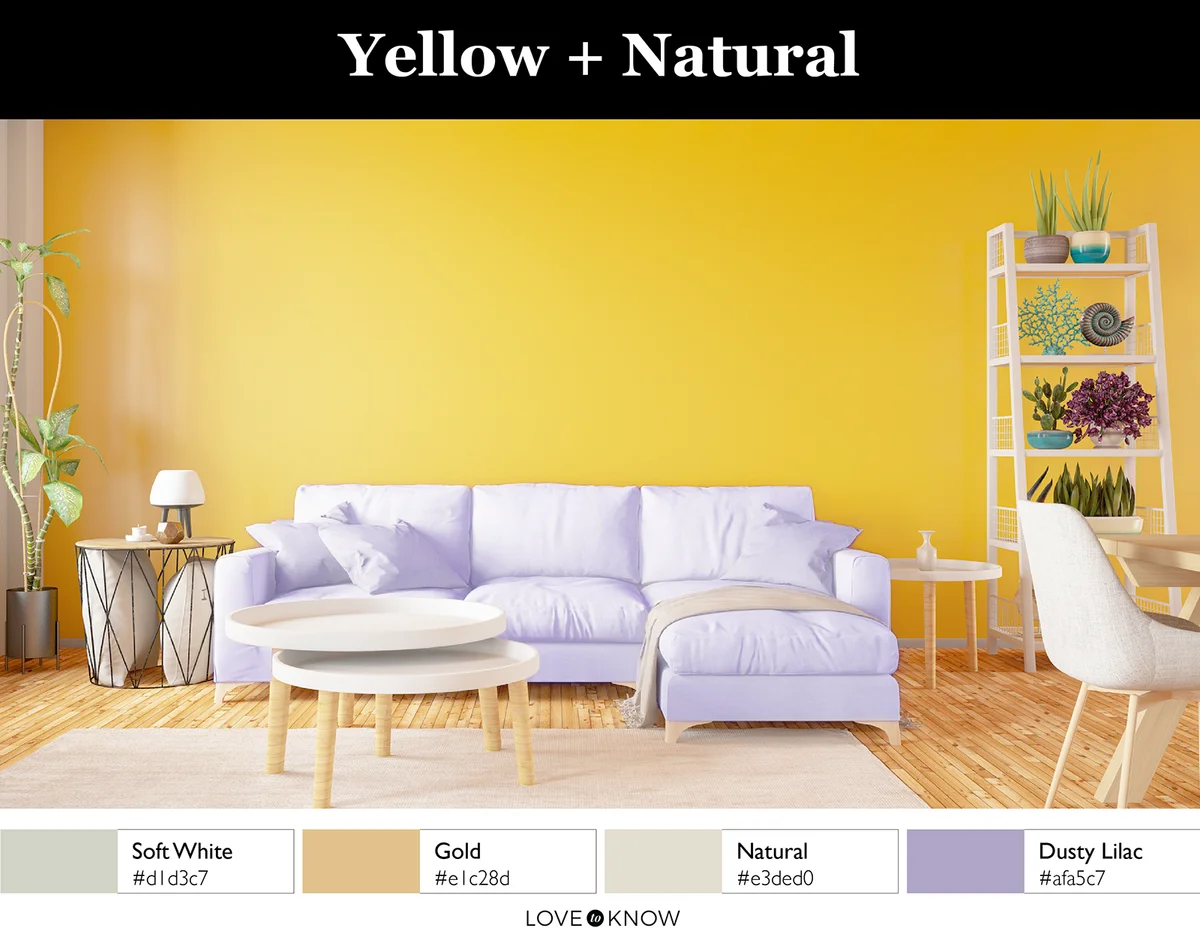 Modern interior Design Sofa with Yellow Wall