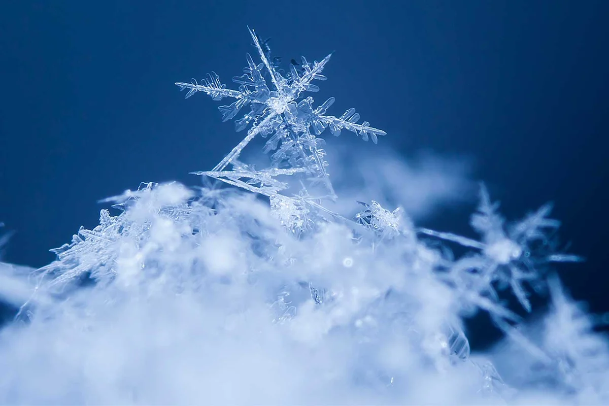 close up of snowflakes macro