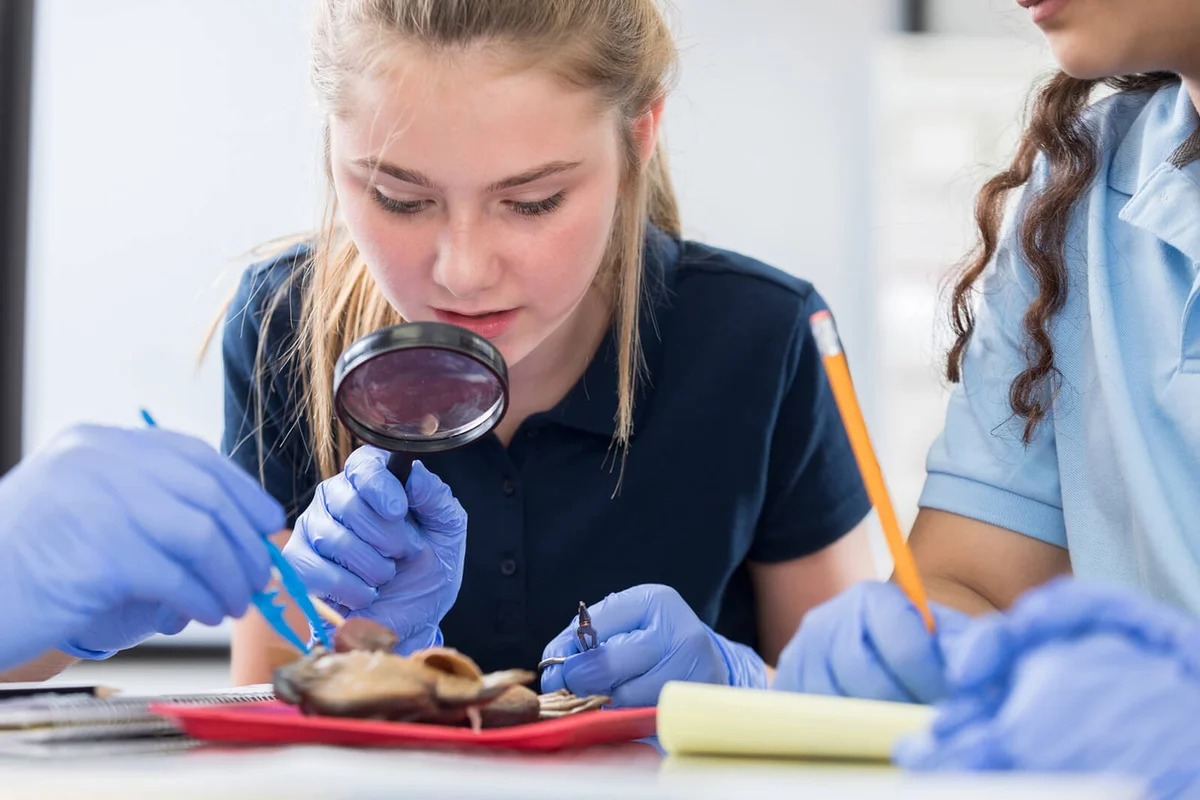 Curious high school student uses magnifying glass to look at dissecting frog