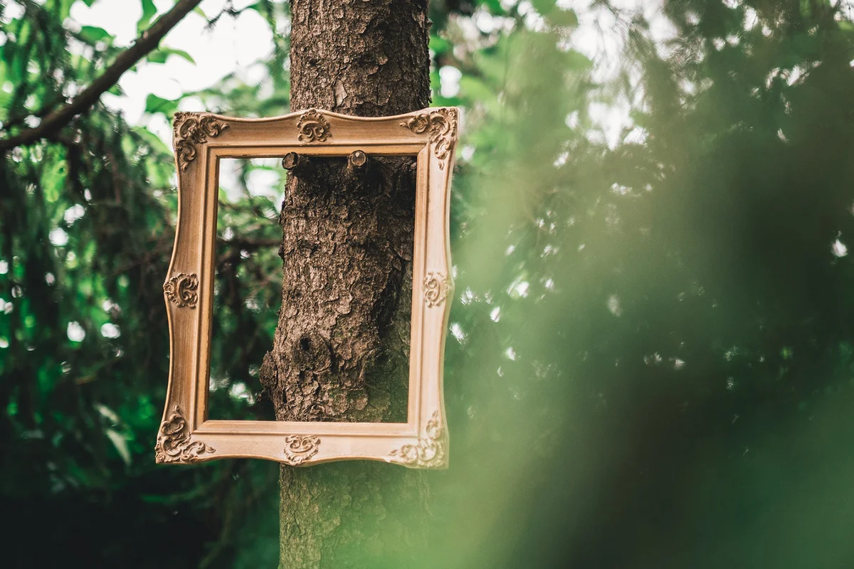 Low Angle View Of Hanging Frame On The Tree