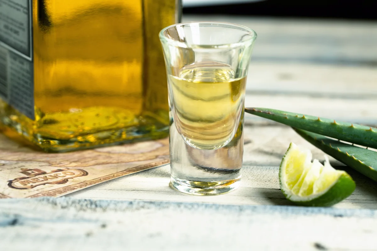 Tequila Shot By Lime And Aloe Vera On Table