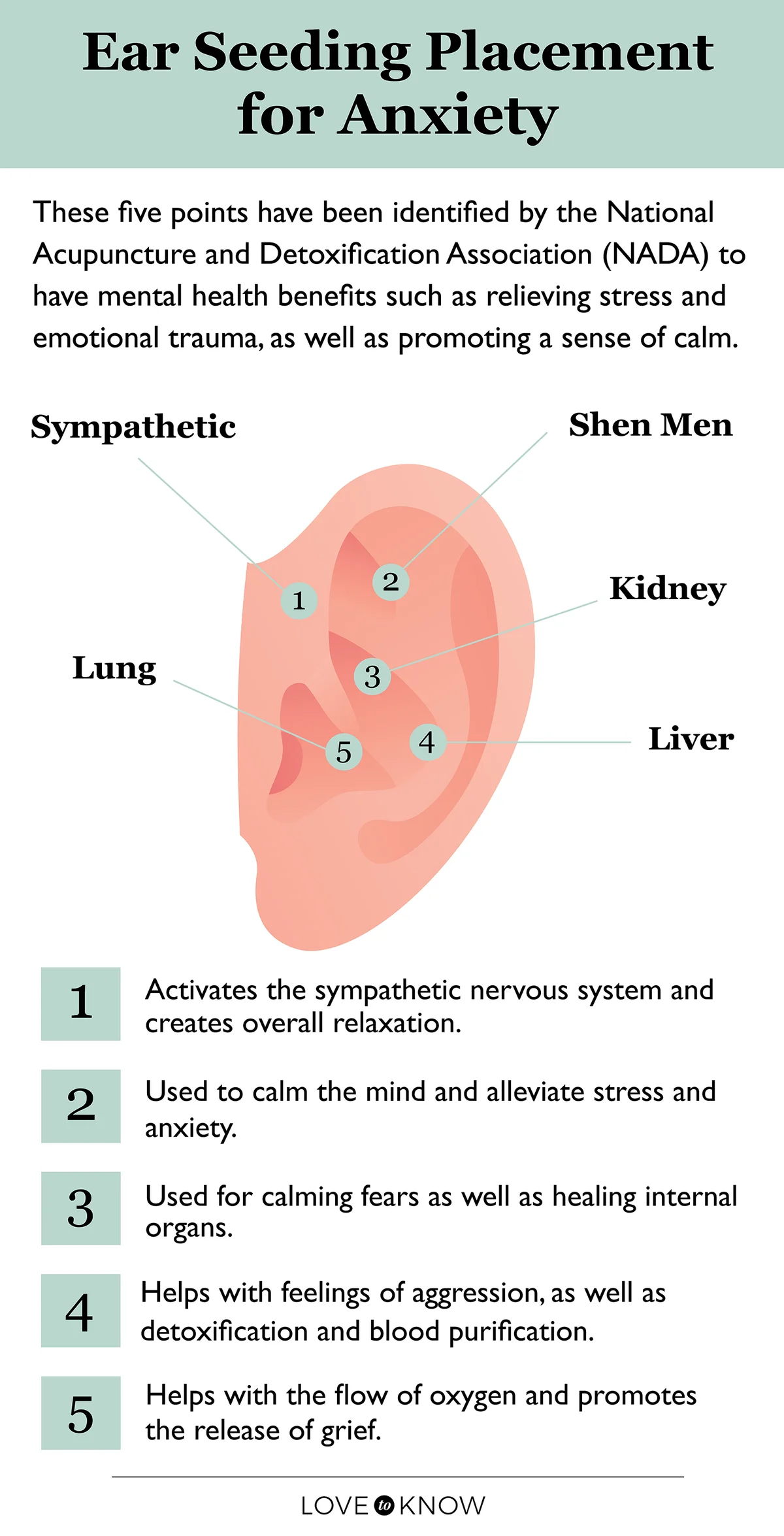 Ear Seed Placement Infographic