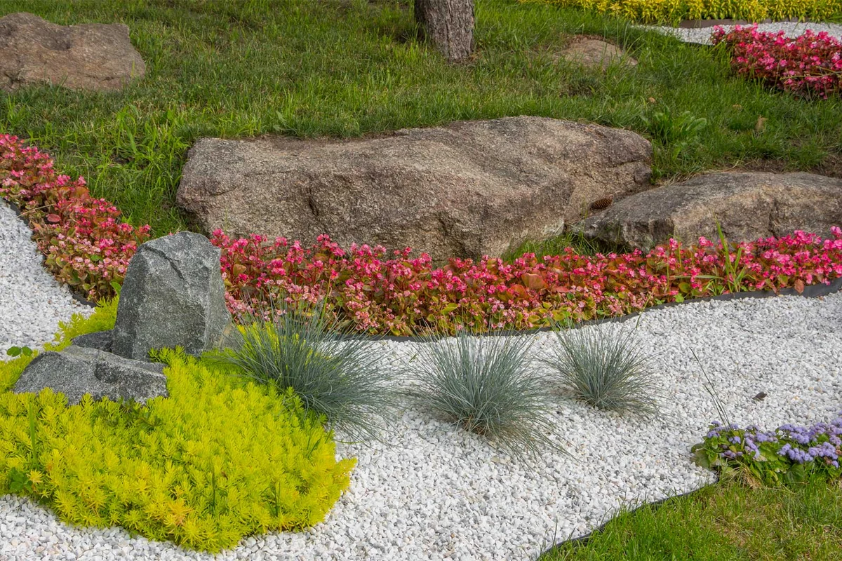 rock garden with plants