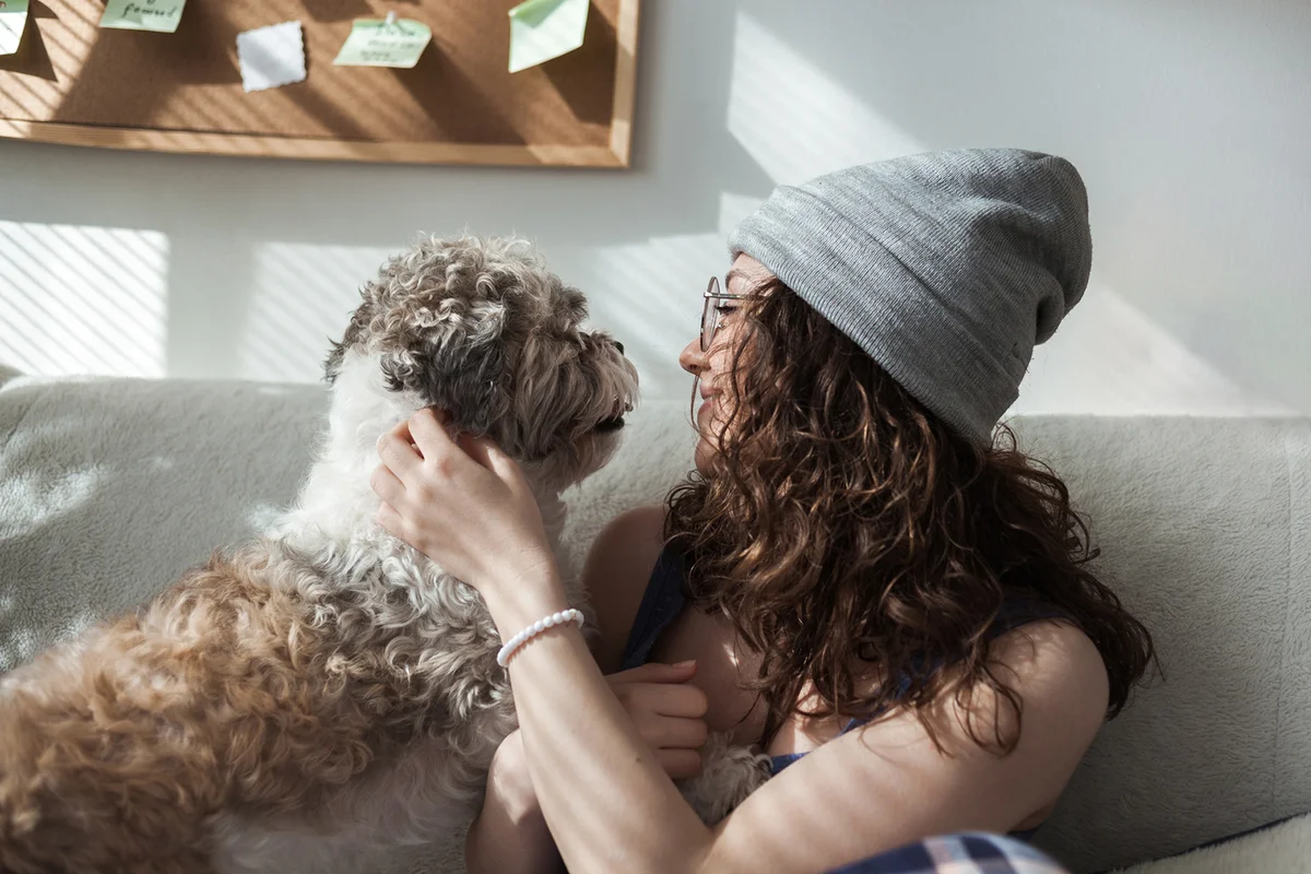 Playing with dog at home