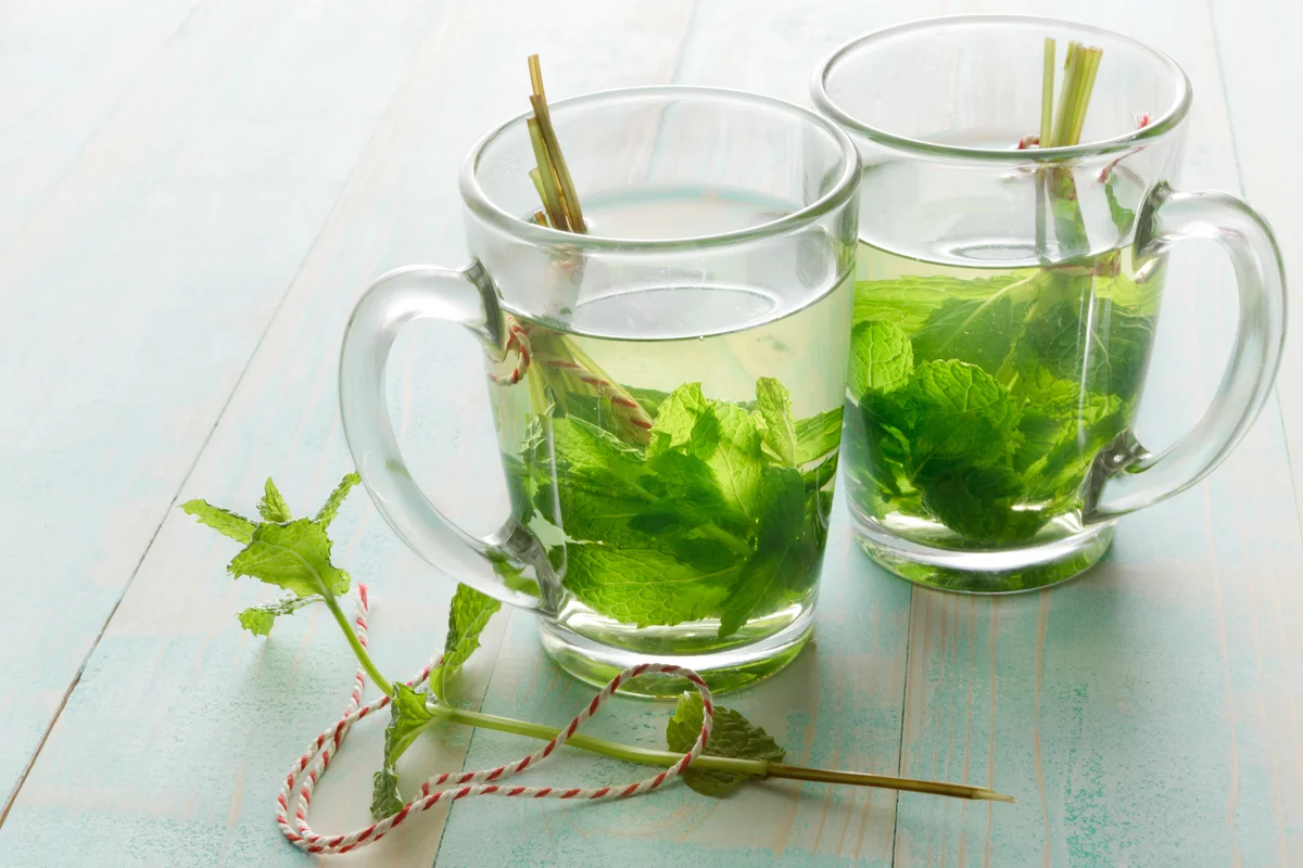 fresh mint tea for calming anti anxiety wellness