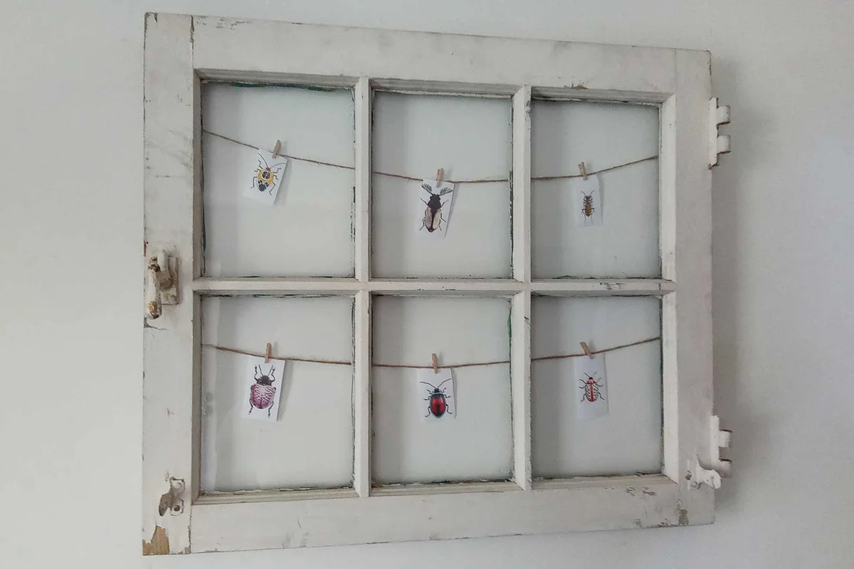 hanging display window frame