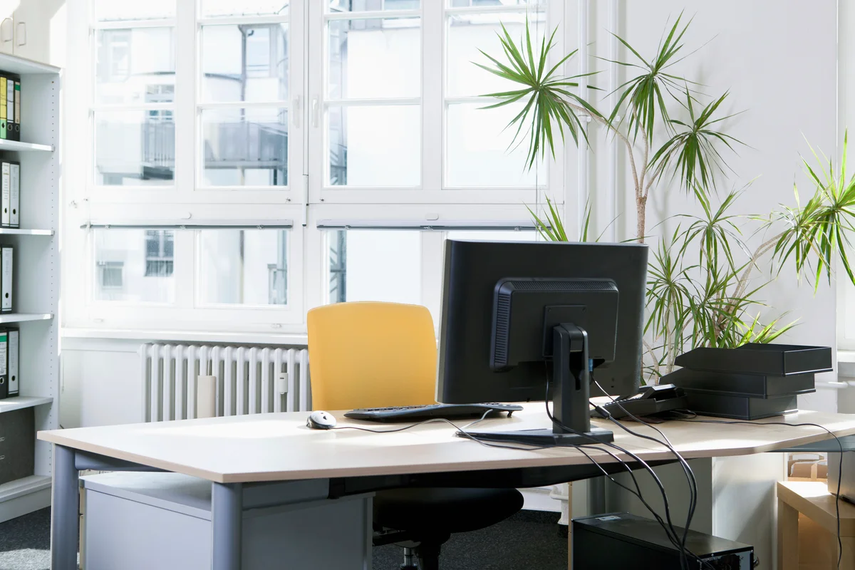 Peaceful office