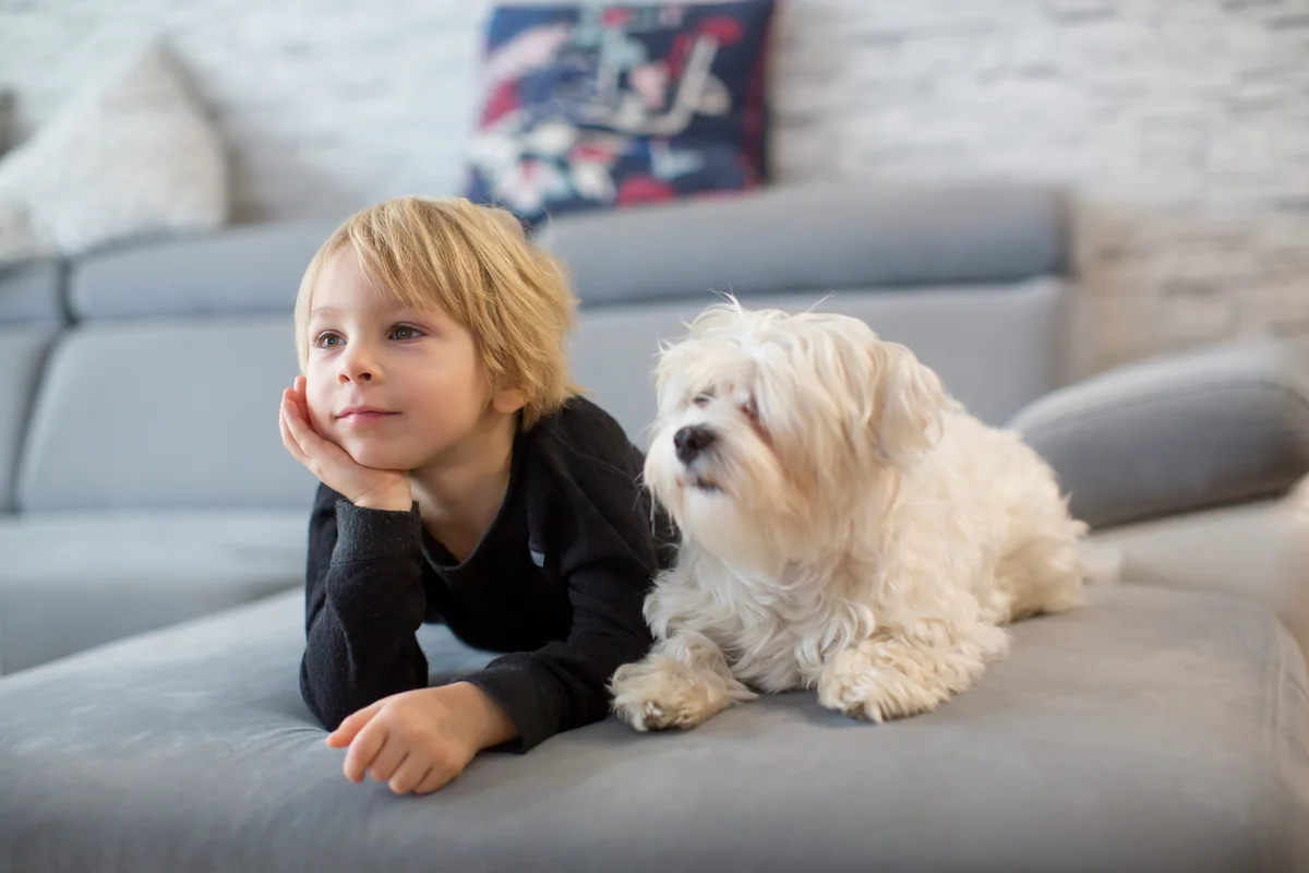 boy and dog sitting on sofa