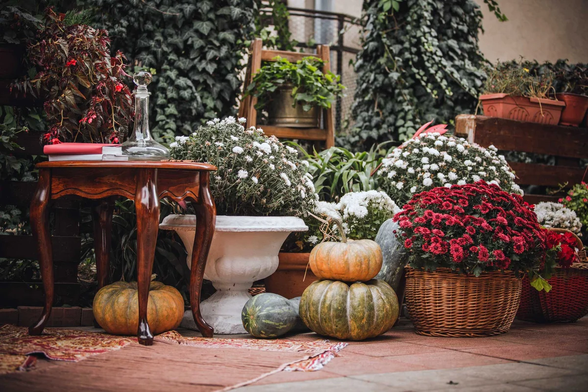 fall autumn planters flowers on patio