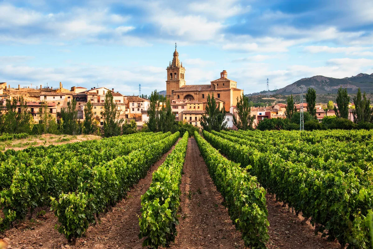 Vineyard and village of Briñas in the district of Haro