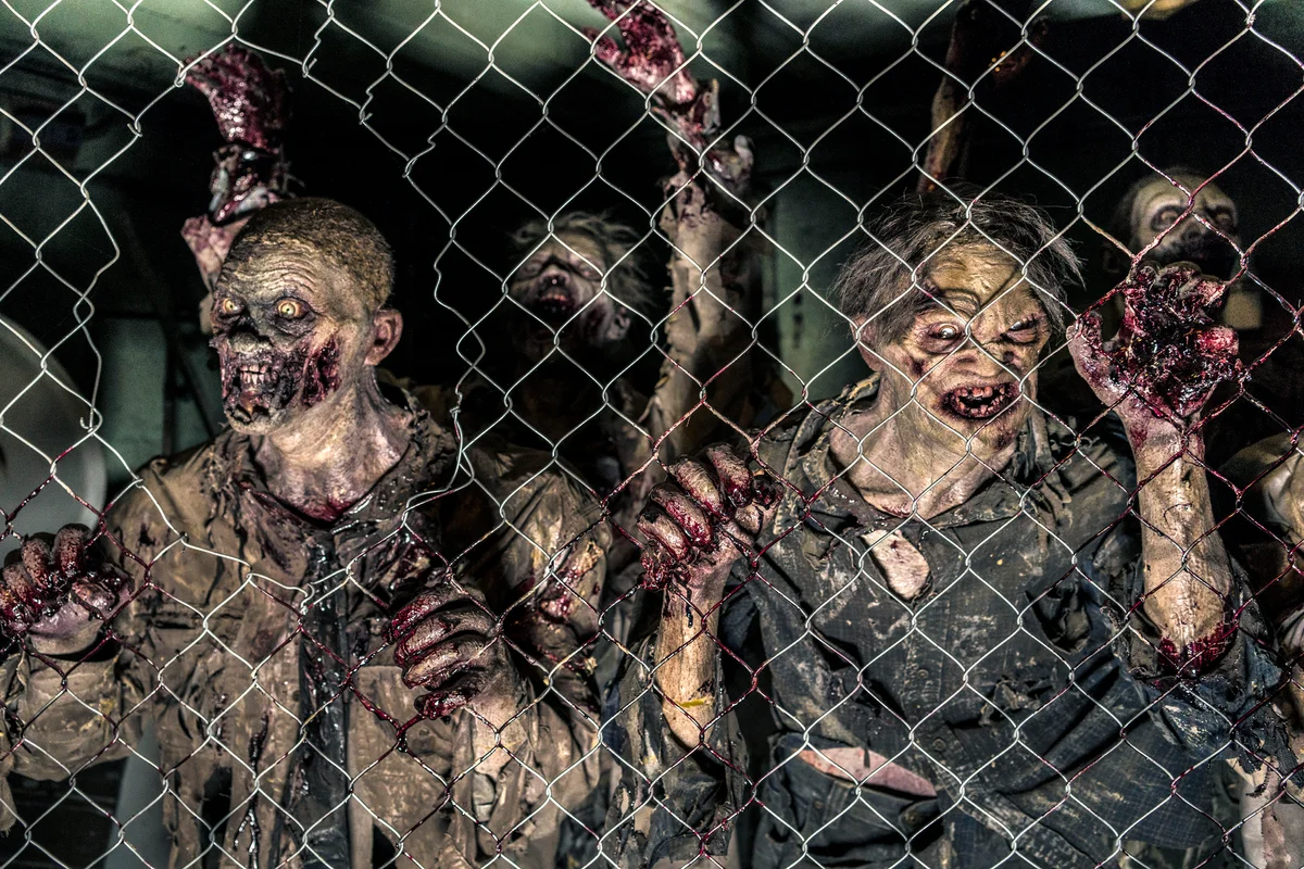 Zombies Behind A Fence