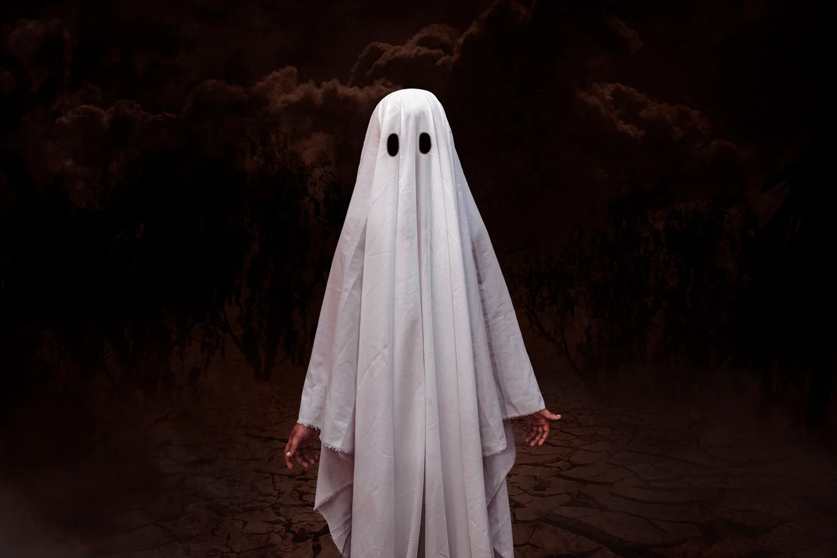 Boy In Spooky Ghost Costume Standing Outdoors