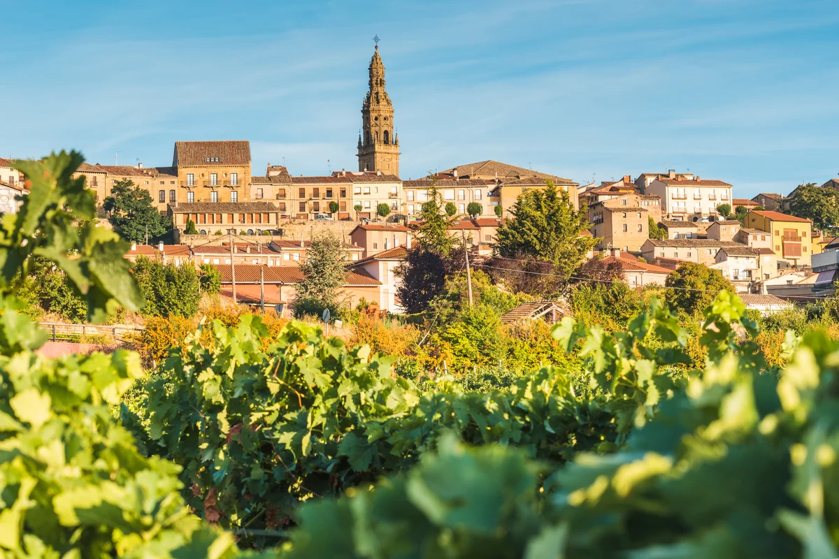 Vineyards in La Rioja, Spain