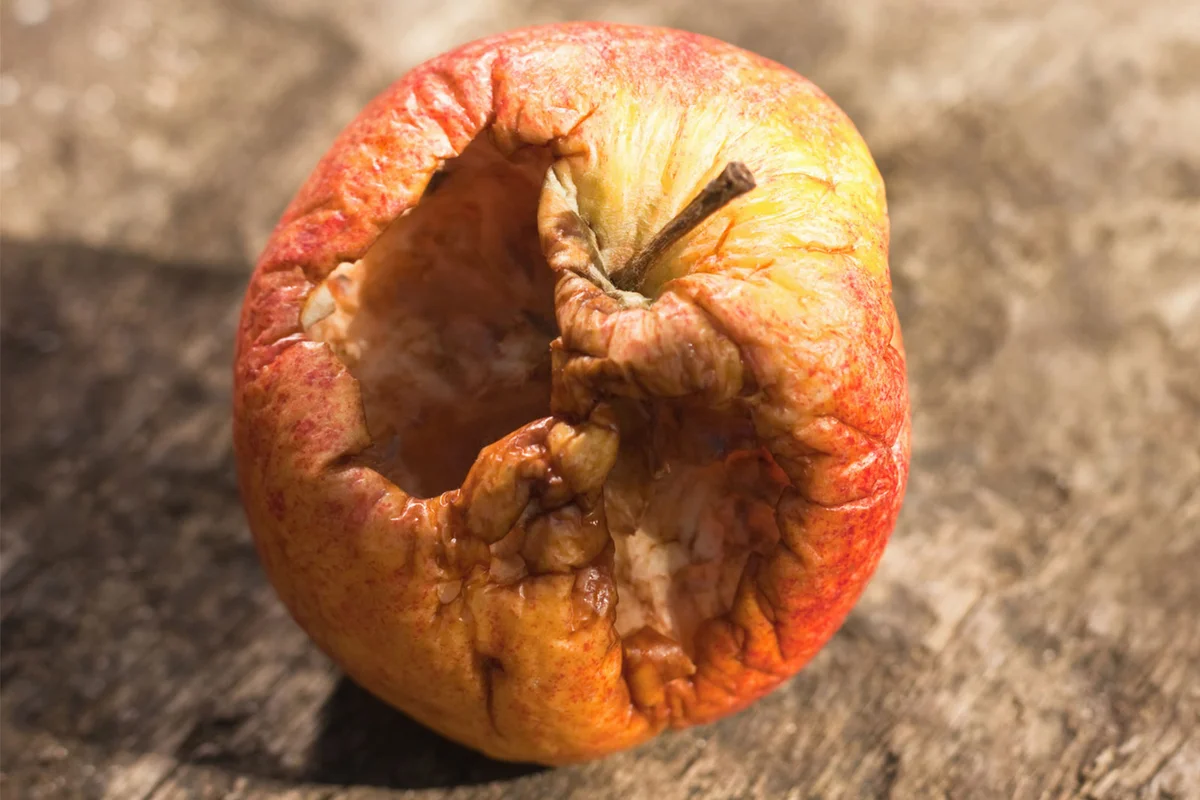 Mummified dried apple